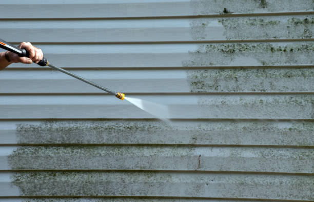Best Toxic Mold Removal  in Arlington, VA