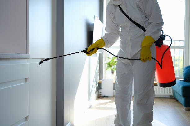 Arlington, VA Mold Removal Company
